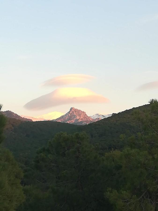 Acogedor Apartamento Privado Con Fantasticas Vistas La Zubia  Bagian luar foto